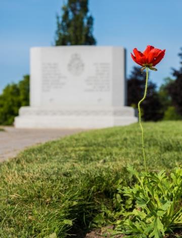 Beechwood National Memorial Center