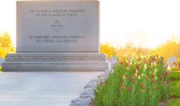 Tulips at the National Military Cemetery